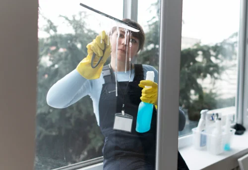 Nettoyage de vitres intérieures et extérieures à Génébrières